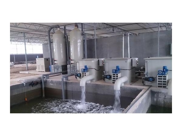 循環(huán)水除垢器，選沃肯電子除垢儀